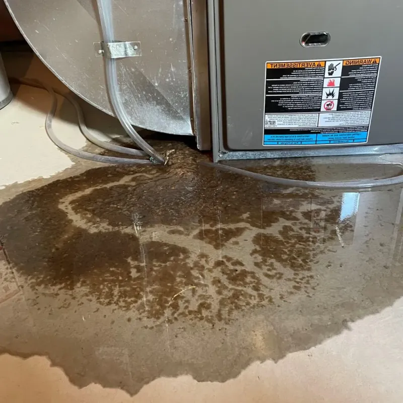 Pipe Burst and Leak Restoration in Laramie County, WY